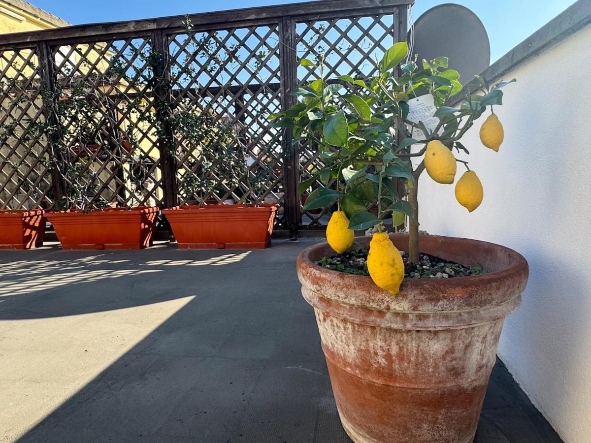 Apartamento Rooftop Via Appia Nuova,